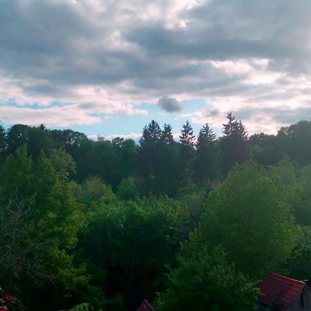 Ferienwohnung Im Manbach 프로이덴슈타트 외부 사진