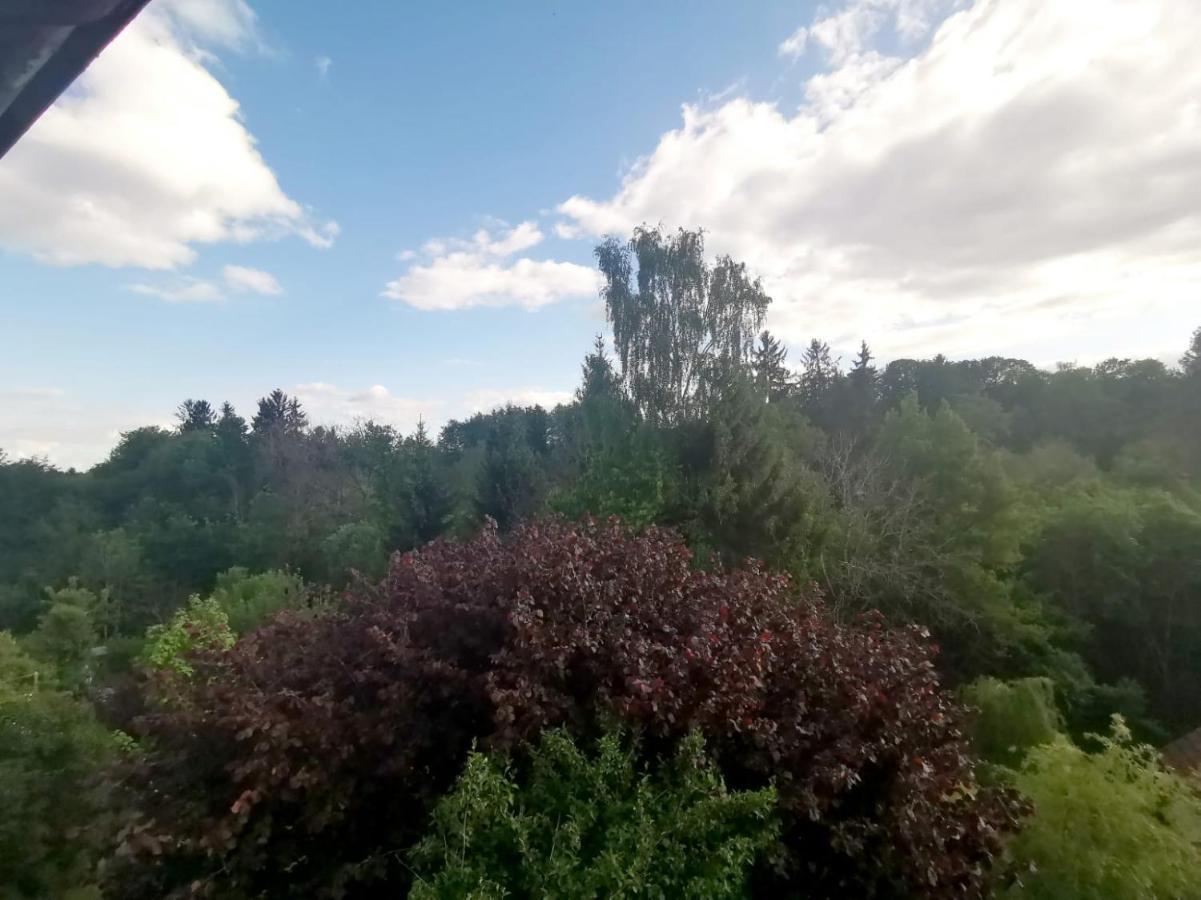 Ferienwohnung Im Manbach 프로이덴슈타트 외부 사진